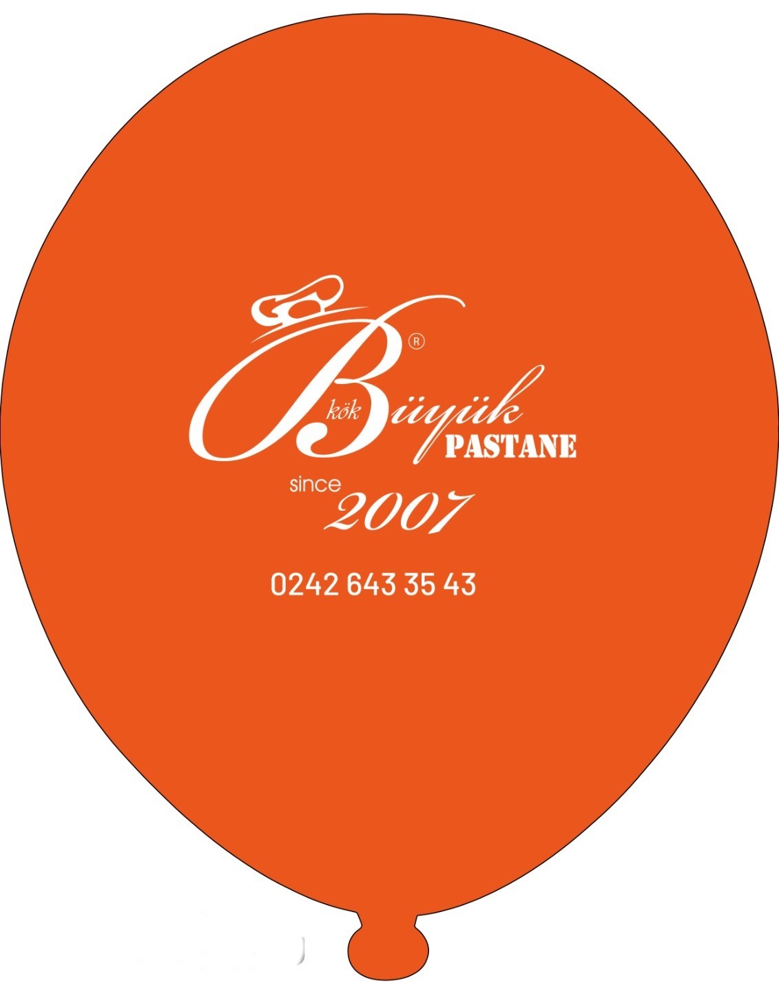 Baskılı Balon Örneği 2