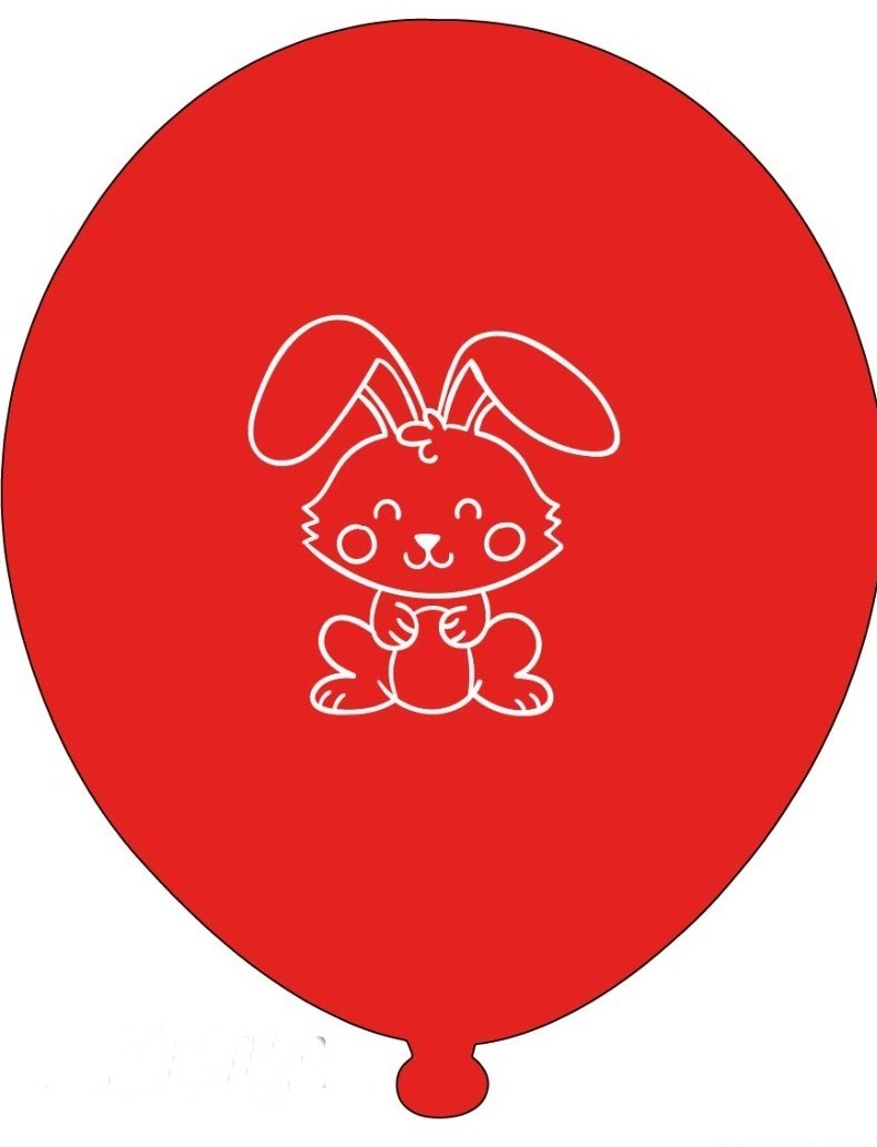 Baskılı Balon Örneği 2